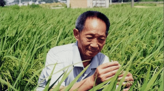 <b>2024中美农产物进出口对比：美国进口18</b>